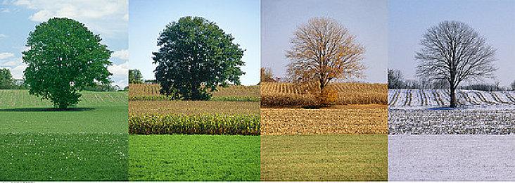 《明末：渊虚之羽》短片及艺术图 女主黑化后霸气